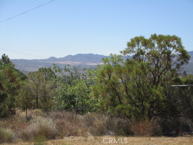 38111 Manzanita Mountain Lane, Anza CA: https://media.crmls.org/medias/7f3a58d1-644f-430e-b725-7298aa6247d7.jpg