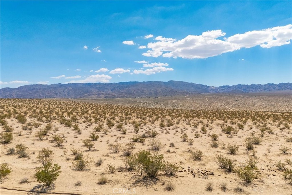 MLS #JT25263725 image #2