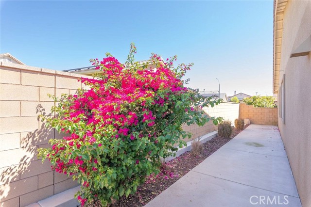 Detail Gallery Image 17 of 21 For 34699 Silky Dogwood, Winchester,  CA 92596 - 3 Beds | 2 Baths