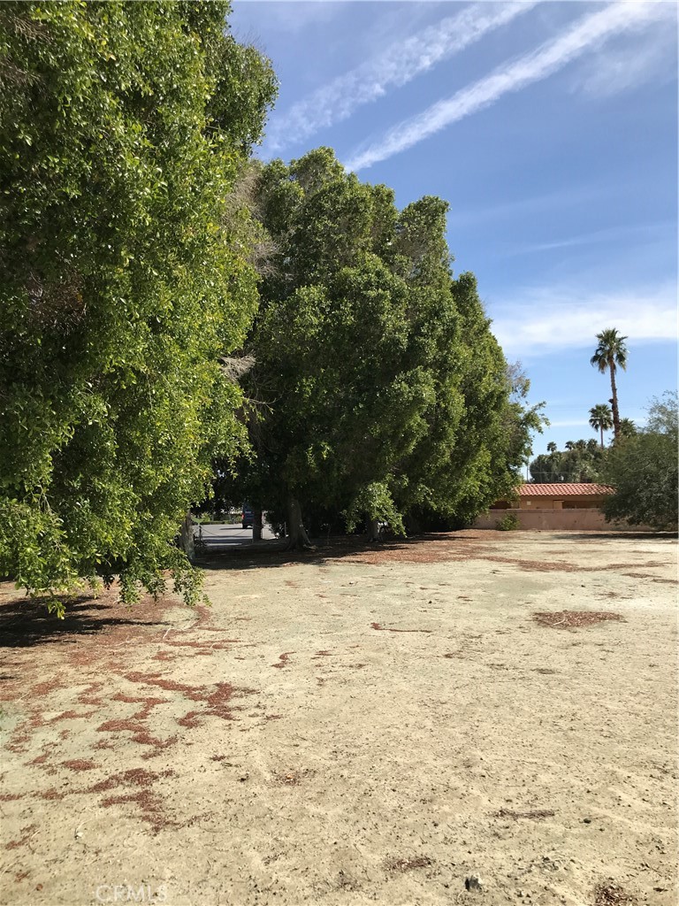 MLS #SW25056920 image #2