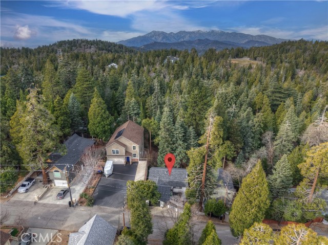 Detail Gallery Image 49 of 53 For 696 Rose, Twin Peaks,  CA 92391 - 4 Beds | 2 Baths