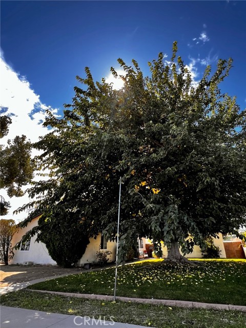 2148 E Avenue Q, Palmdale, CA, 93550 2148 E Avenue Q, Palmdale, CA, 93550