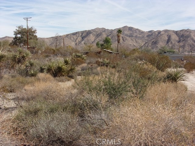 Detail Gallery Image 1 of 1 For 0 Lanning Ln, Morongo Valley,  CA 92256 - – Beds | – Baths