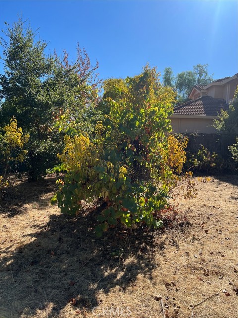 Detail Gallery Image 54 of 54 For 502 Venezia Way, Cloverdale,  CA 95425 - 2 Beds | 2 Baths