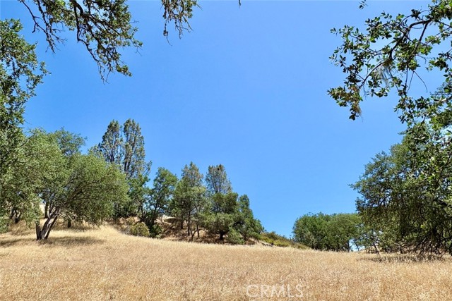 Detail Gallery Image 7 of 17 For 0 Bryson Hesperia Rd, Bradley,  CA 93426 - – Beds | – Baths