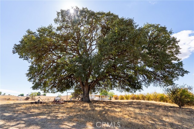 27 Wellsona Road, Paso Robles CA: https://media.crmls.org/medias/7f73567e-282e-44f9-ae7a-5e6be0380e42.jpg