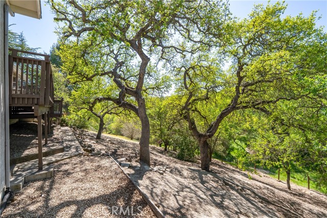 Detail Gallery Image 28 of 39 For 66 Terrace Hill Drive, Paso Robles,  CA 93446 - 3 Beds | 2 Baths