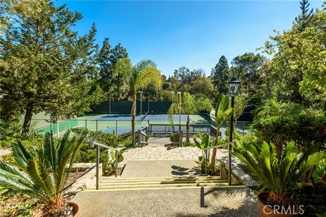 tennis courts looking from the club house