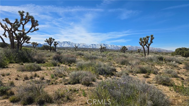 Detail Gallery Image 37 of 50 For 0 Fort Tejon Rd Vicinity 181st St E, Llano,  CA 93544 - – Beds | – Baths