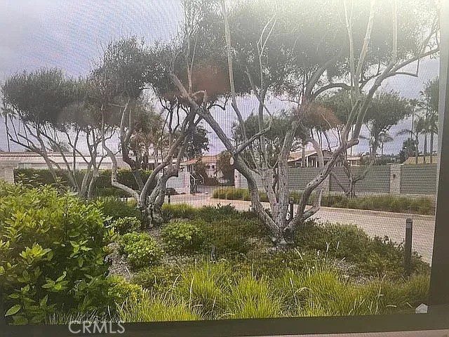 6550 Ponto Drive, Carlsbad CA: https://media.crmls.org/medias/7f836956-38df-471c-8550-0b36e50d38ce.jpg