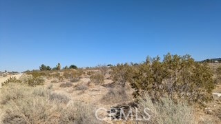 Detail Gallery Image 7 of 8 For 0 Del Rosa, Pinon Hills,  CA 92372 - – Beds | – Baths