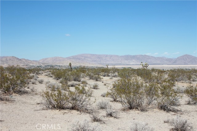 Detail Gallery Image 55 of 71 For 769 Meridian Rd, Lucerne Valley,  CA 92356 - – Beds | – Baths