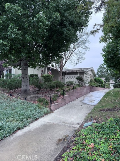 Front Image Thumbnail for CROC25262504