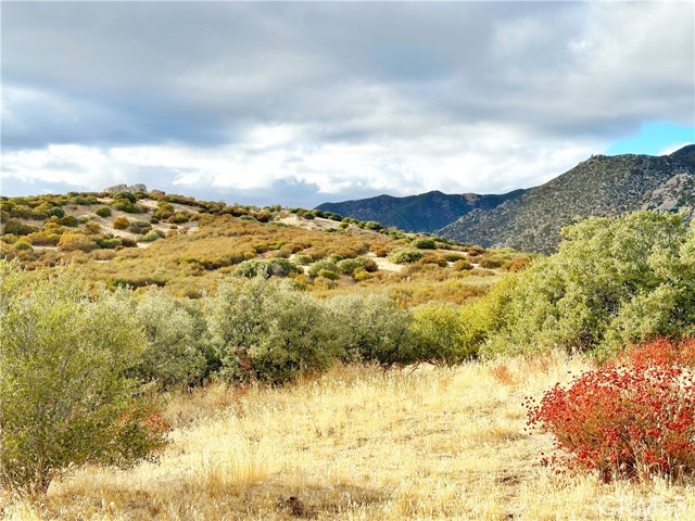 Detail Gallery Image 32 of 46 For 40 Acres via Oak Grove Ln, Ranchita,  CA 92066 - – Beds | – Baths