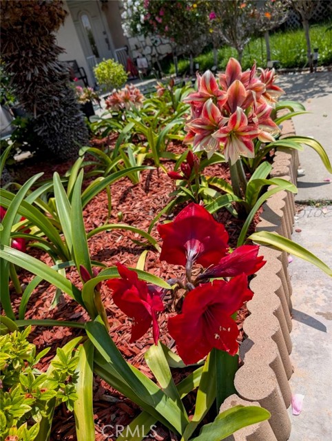 Detail Gallery Image 30 of 32 For 1905 Vascones, Hacienda Heights,  CA 91745 - 3 Beds | 2 Baths
