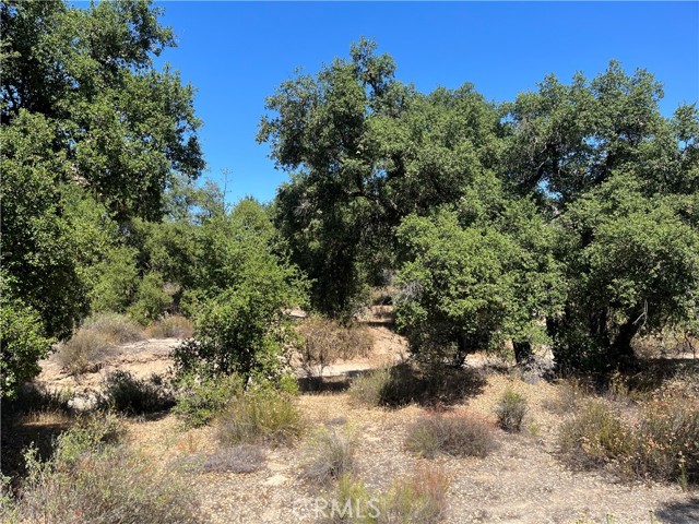 Detail Gallery Image 19 of 26 For 35010 Willow Creek Rd., Hemet,  CA 92544 - – Beds | – Baths