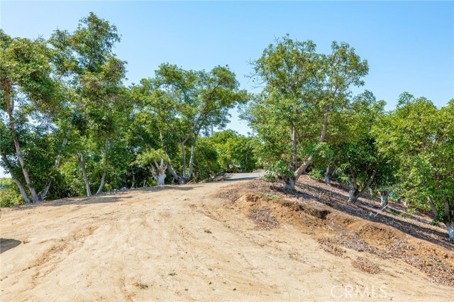 2125 Puerto Del Mundo, Fallbrook CA: https://media.crmls.org/medias/7f9bef57-0cf8-4e60-998d-cb52e8d67c1e.jpg