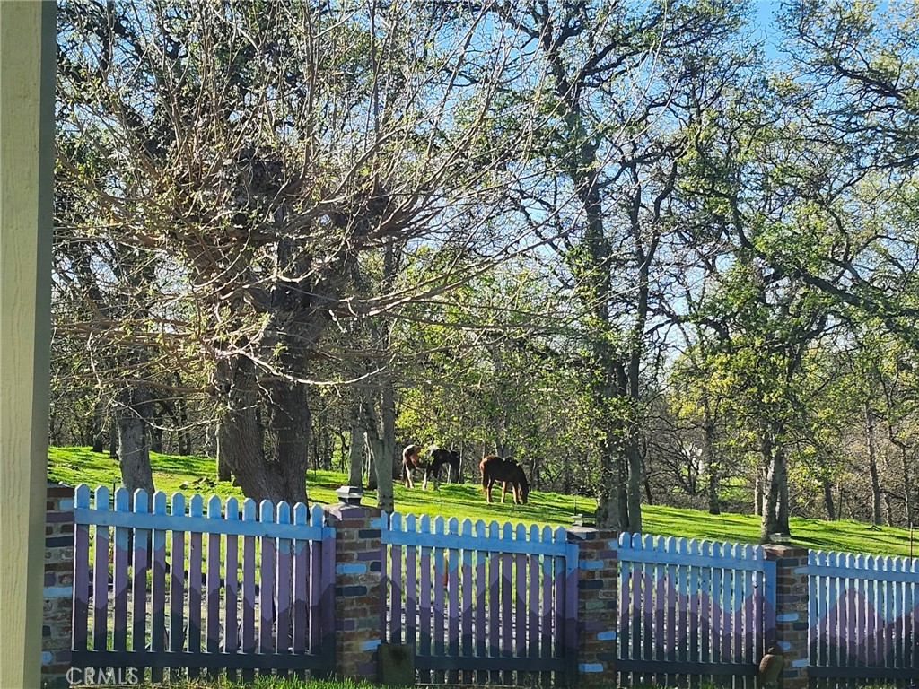 https://media.crmls.org/medias/7f9bfe14-6e2c-4690-a610-9effb60025f2.jpg?preset=X-Large