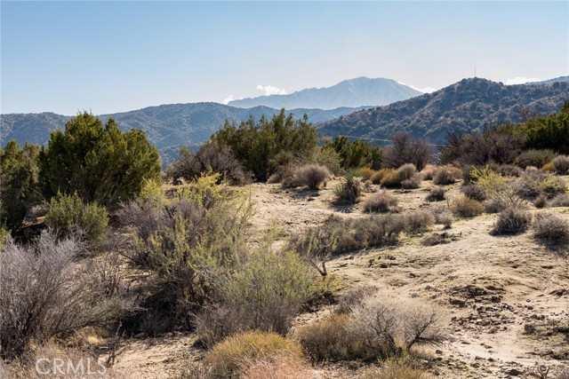 Detail Gallery Image 6 of 9 For 0 Magnolia Dr, Morongo Valley,  CA 92256 - – Beds | – Baths