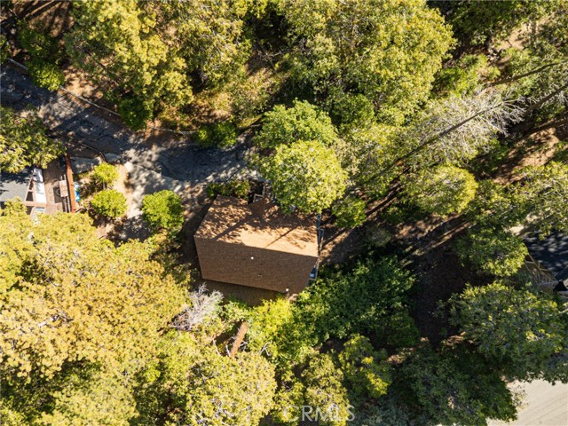 385 Birchwood, Lake Arrowhead, CA 92352
