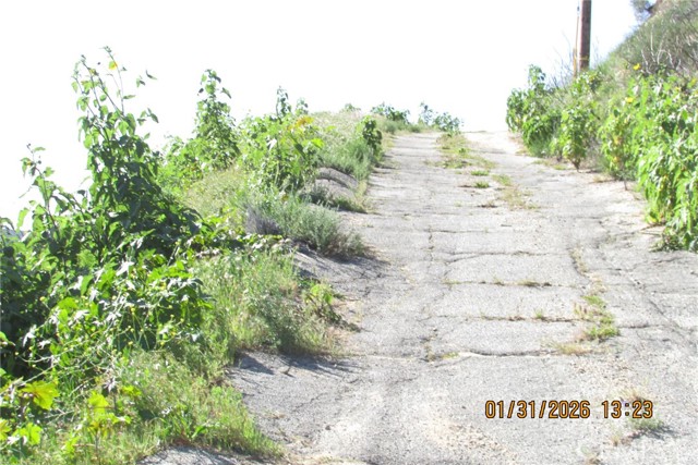 Detail Gallery Image 21 of 51 For 8001 Denivelle Rd., Sunland,  CA 91040 - – Beds | – Baths