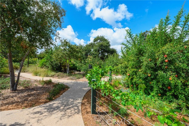 1291 Windmill Road, Rancho Mission Viejo CA: https://media.crmls.org/medias/7fb3e7c7-67af-4f35-9560-4706bc53eafa.jpg