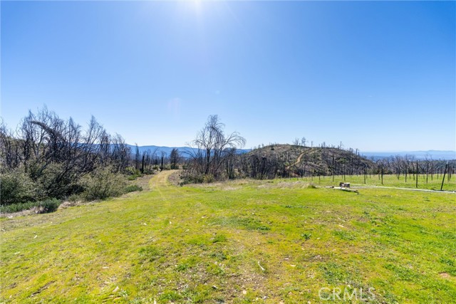 0 Big Ridge Road, Berry Creek CA: https://media.crmls.org/medias/7fb4d265-6988-463d-adab-d79558cc26ad.jpg