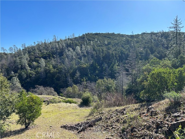 Detail Gallery Image 20 of 30 For 14903 Western Mine Rd, Middletown,  CA 95461 - – Beds | – Baths