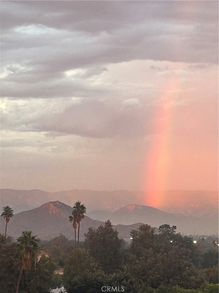 https://media.crmls.org/medias/7fbd53d4-d4e1-4758-ad88-88b066ce2adc.jpg?preset=X-Large