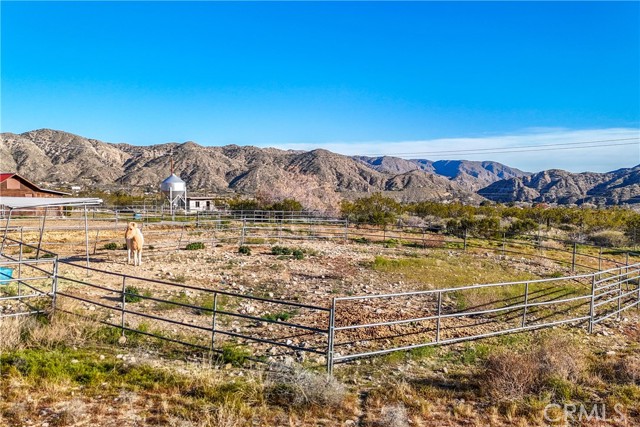 Detail Gallery Image 54 of 70 For 8949 Desert Willow Trl, Morongo Valley,  CA 92256 - 3 Beds | 2 Baths