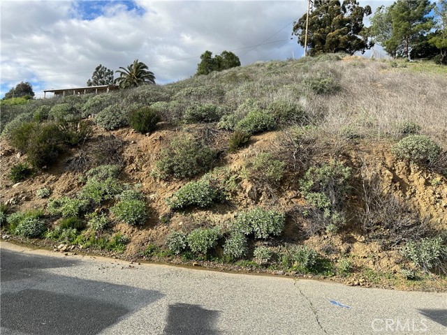 0 Skyline Drive, Lake Elsinore, California 92530, ,Land,For Sale,0 Skyline Drive,CRSW24044541