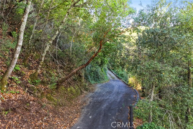 Front Image Thumbnail for CRIV25244456