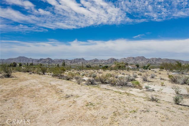 64532 Chollita Road, Joshua Tree, California 92252, ,Land,For Sale,64532 Chollita Road,CRJT23175359