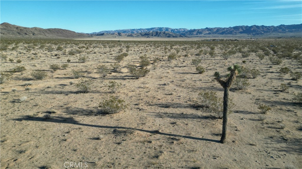 MLS #SB24059469 image #5
