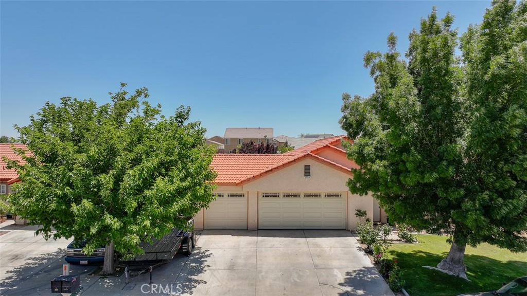 11145 Desert Rose Drive