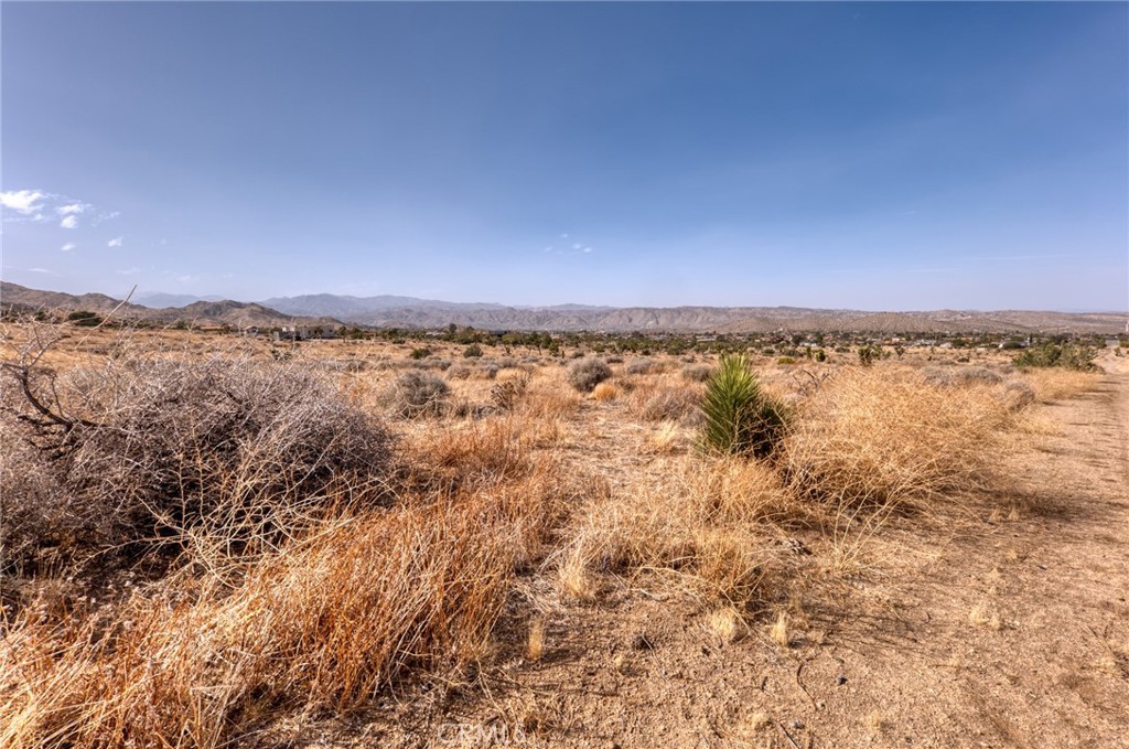 MLS #JT25046600 image #32