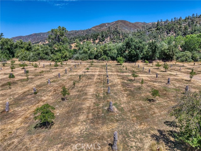Detail Gallery Image 21 of 31 For 1286 Pitney Ln, Upper Lake,  CA 95485 - – Beds | – Baths