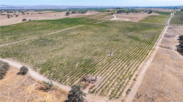 4825 Mill Road, Paso Robles CA: https://media.crmls.org/medias/7feaf9f4-46ed-468c-8ace-cfa6bdb5f43e.jpg
