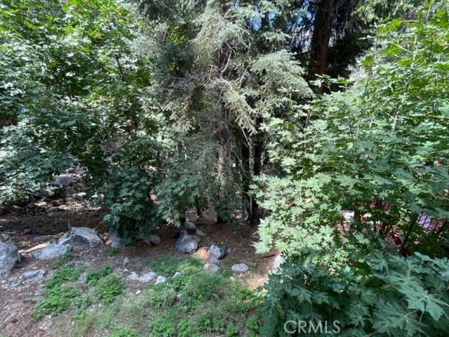 9592 Snowdrift Drive, Forest Falls, CA, 92339 9592 Snowdrift Drive, Forest Falls, CA, 92339