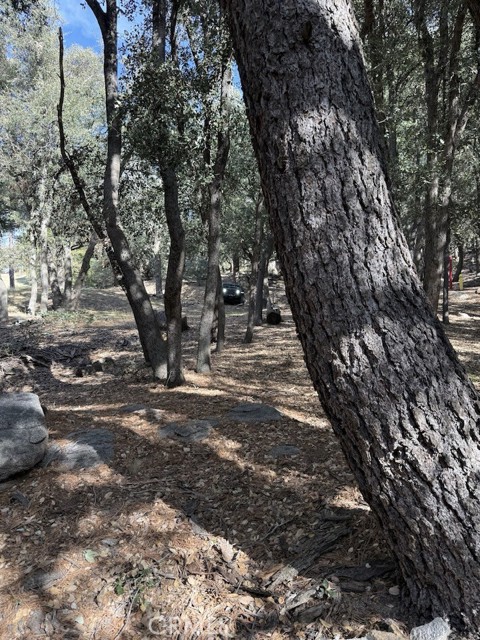 Detail Gallery Image 3 of 6 For 0 343-061-27-000, Cedarpines Park,  CA 92322 - – Beds | – Baths