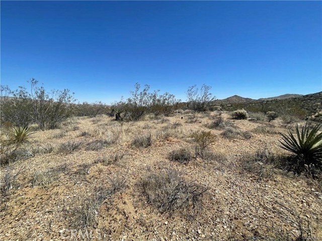 Detail Gallery Image 11 of 13 For 54589 Hoopa Trail, Yucca Valley,  CA 92284 - – Beds | – Baths