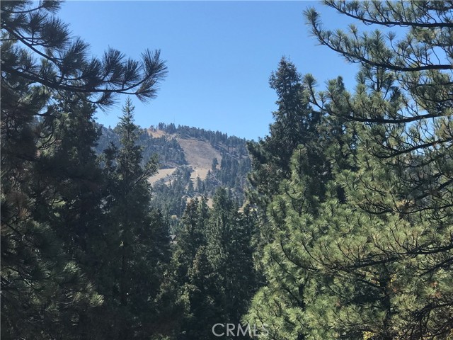 0 Sheephorn Rd, Big Bear City, California 92315, ,Land,For Sale,0 Sheephorn Rd,CRIG21227250