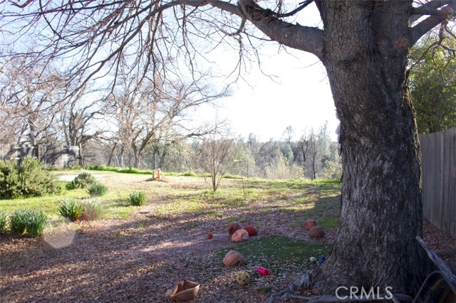 Detail Gallery Image 14 of 48 For 1355 Riviera Dr, Redding,  CA 96001 - 3 Beds | 1 Baths