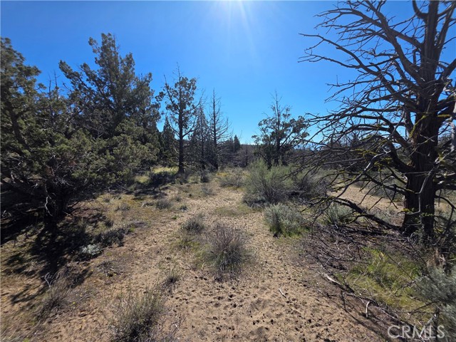 Detail Gallery Image 5 of 14 For 38 Blk 8 Lot 38 Karina Dr, Montague,  CA 96064 - – Beds | – Baths