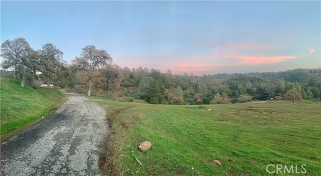 Coming home~paved roadway to the home, guest house, barn and pond/meadow to the right