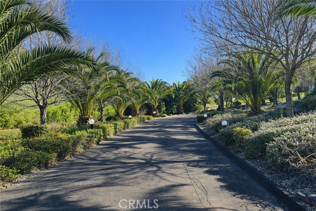 Detail Gallery Image 37 of 40 For 775 Riata Ln, Nipomo,  CA 93444 - 4 Beds | 5 Baths