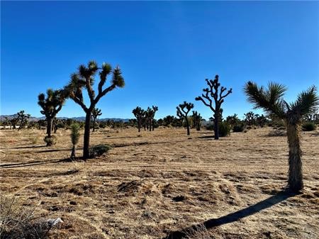 57031 Buena Vista Drive, Yucca Valley, California 92284, ,Land,For Sale,57031 Buena Vista Drive,CRJT23214315