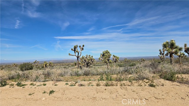 Detail Gallery Image 27 of 50 For 0 Fort Tejon Rd Vicinity 181st St E, Llano,  CA 93544 - – Beds | – Baths