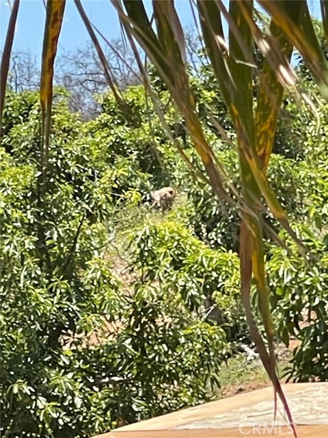 0 El Calamar Rd, Temecula CA: https://media.crmls.org/medias/800591cc-c3f9-406d-8896-6c7e6e67e24a.jpg