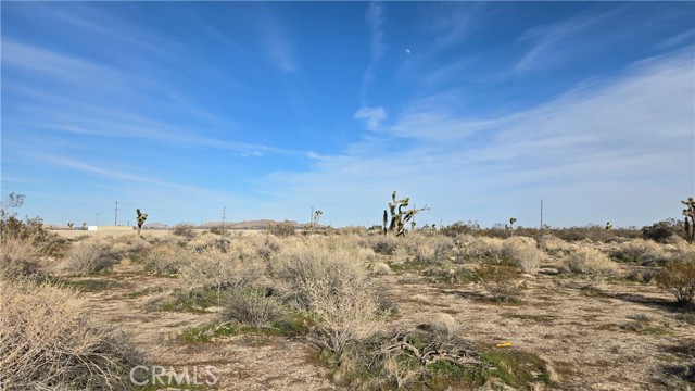 Detail Gallery Image 6 of 21 For 0 115th St East S/O Ave S, Littlerock,  CA 93543 - – Beds | – Baths